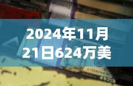 揭秘天价香蕉背后的故事，中标者回应与行动指南，一根香蕉何以价值624万美元？