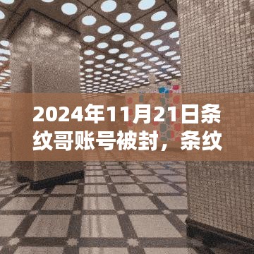 揭秘条纹哥账号背后的秘密，科技巨头全新智能产品引领未来生活潮流，账号被封背后的真相揭秘（日期，XXXX年XX月XX日）