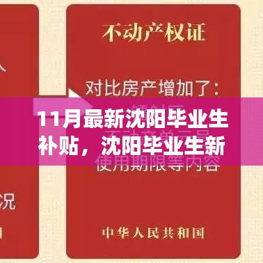 沈阳毕业生新补贴11月来袭，学习变革，助力梦想启航的准备时刻！