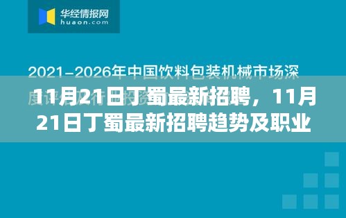 11月21日丁蜀最新招聘趋势及职业机遇深度探索