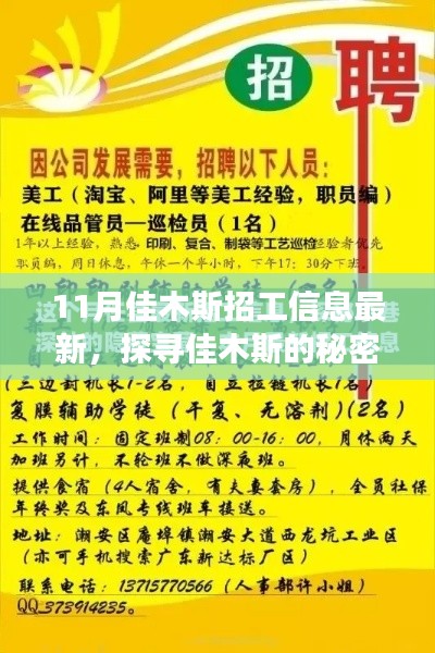 探寻佳木斯的秘密角落，最新招工信息及小巷深处的特色小店招募公告