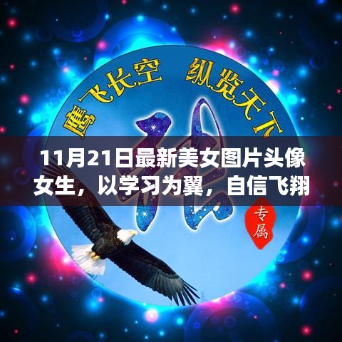 11月21日最新美女图片头像女生，以学习为翼，自信飞翔，美女头像背后的励志故事启示录