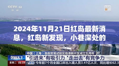 红岛探秘，小巷深处的独特风味——最新发现与惊喜探秘（2024年11月21日）