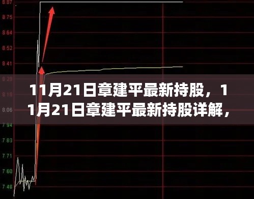 章建平最新持股详解及跟踪学习指南，揭秘最新动态与策略