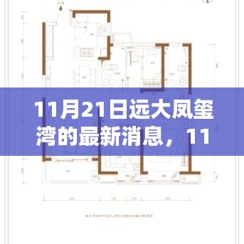 11月21日远大凤玺湾最新动态揭晓，最新消息一览