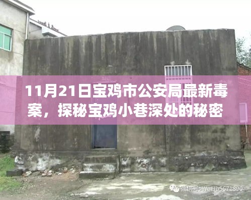 宝鸡市公安局揭秘毒案内幕，小巷深处的秘密与特色小店背后的故事