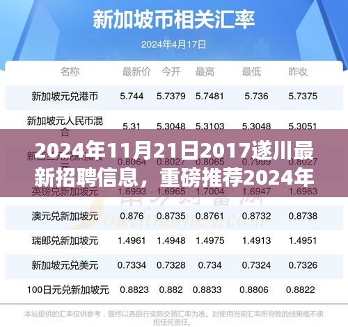 2024年遂川最新招聘信息大揭秘，职业梦想从这里起航