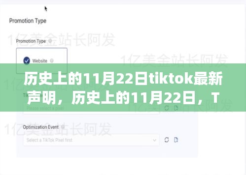 TikTok最新声明揭秘，历史上的11月22日全面评测报告