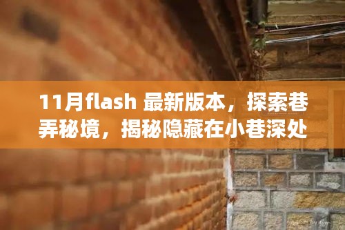 探索巷弄秘境，揭秘小巷特色小店，体验11月Flash最新版本之旅