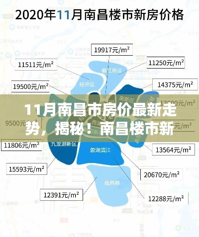 揭秘南昌楼市新动向，11月房价走势深度解析与最新房价趋势