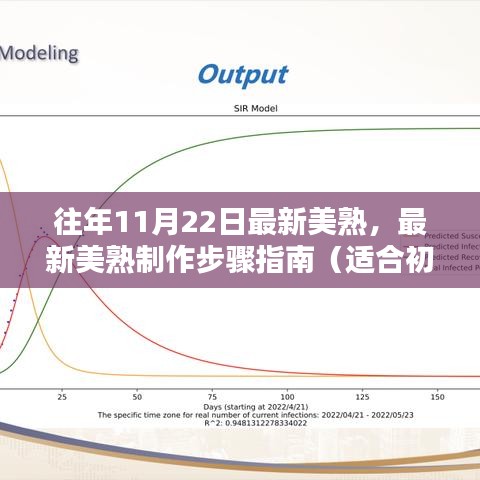 最新美熟制作指南，从初学者到进阶用户的步骤教程