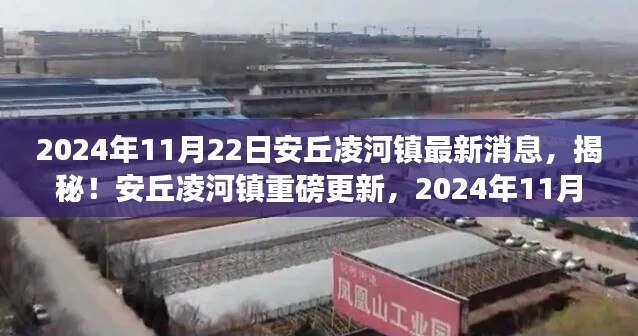 揭秘安丘凌河镇最新动态，重磅更新一网打尽（2024年11月22日）