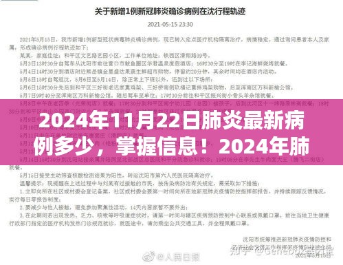 2024年肺炎最新病例查询全攻略，掌握实时病例信息