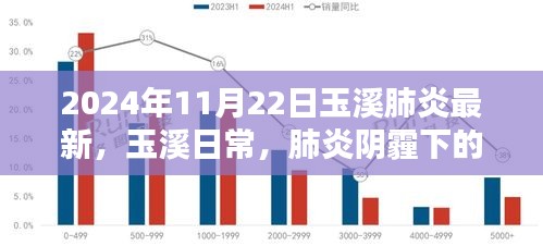 玉溪日常，肺炎阴霾下的温馨阳光（最新更新至2024年11月22日）