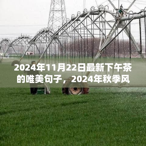 2024秋韵下午茶，时光流转的唯美风尚