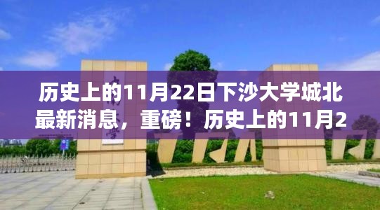 揭秘历史上的11月22日与下沙大学城北的最新动态