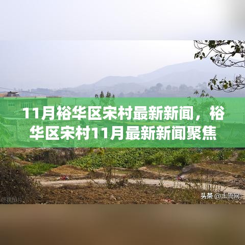 裕华区宋村11月最新新闻聚焦，多元观点下的深度解读