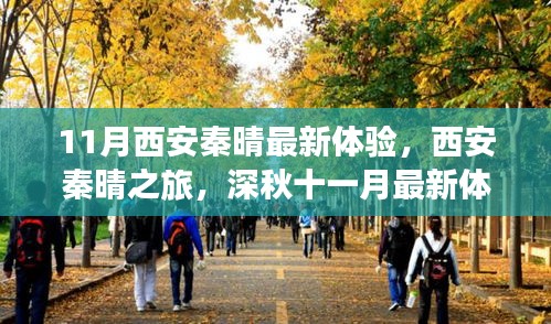 11月西安秦晴之旅，深秋最新体验