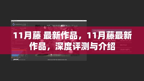 深度解析，11月藤最新作品全面评测与介绍