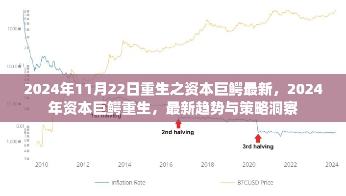 2024年资本巨鳄重生趋势与策略洞察