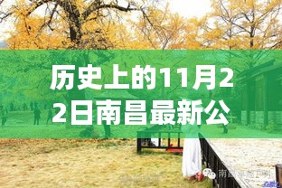 南昌公园秋日友情故事，历史上的11月22日南昌最新公园的友情与陪伴温馨之旅