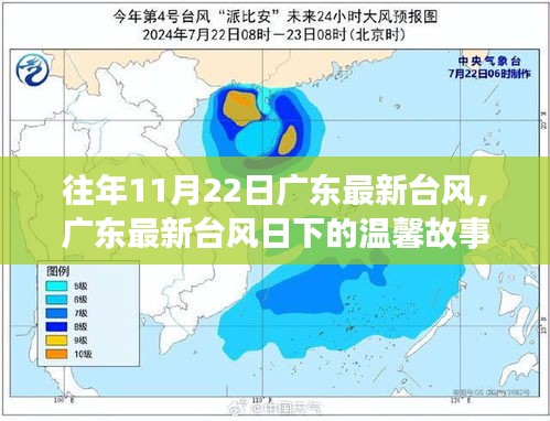 广东台风日下的温馨故事，风中的守护与欢笑