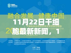 从某某观点看，11月22日干细胞领域的最新动态与新闻探析