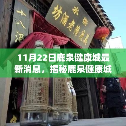 鹿泉健康城探秘，小巷特色小店最新消息揭秘之旅（11月22日）