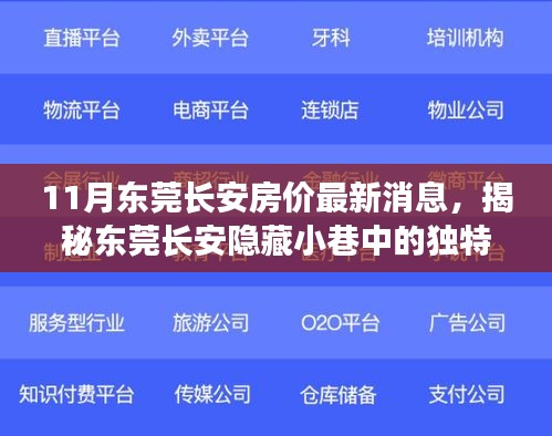 东莞长安房价揭秘与独特美食之旅，小巷中的隐藏小店故事