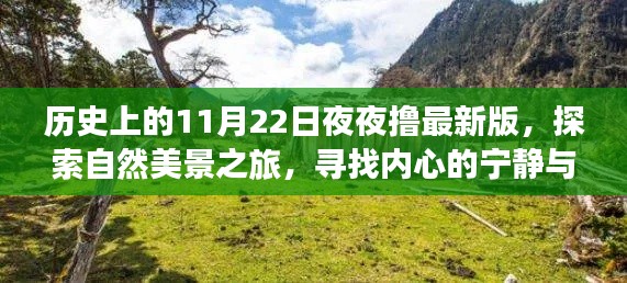 探索自然美景之旅，历史上的11月22日夜夜撸最新版之夜，寻找内心的宁静与和谐