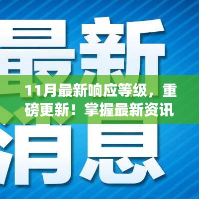 揭秘十一月响应等级全攻略，最新资讯与重磅更新！