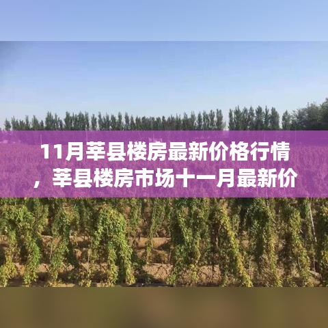 莘县楼房市场十一月最新价格行情深度解析与最新价格行情报告