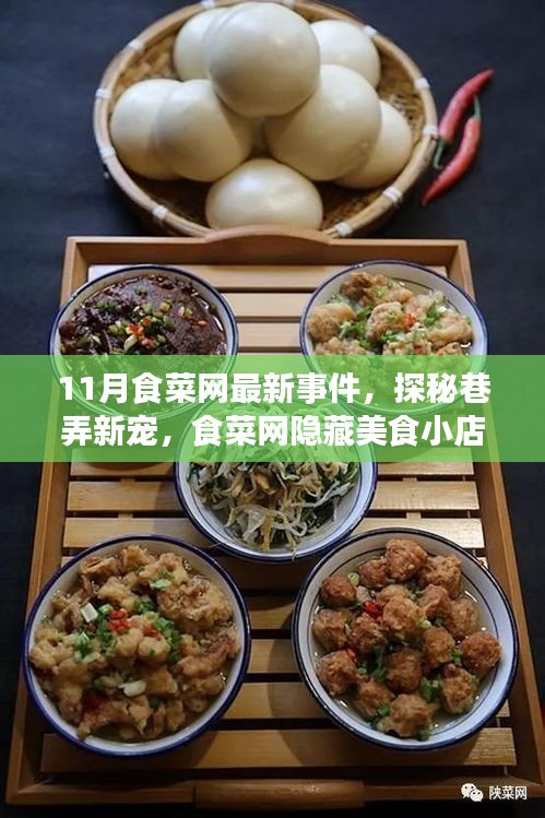 探秘食菜网隐藏美食小店，十一月独家记忆揭秘