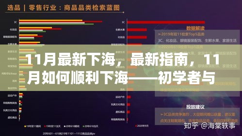 11月最新指南，初学者与进阶用户下海步骤教程