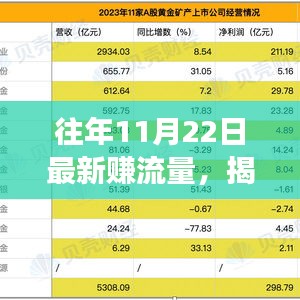 揭秘历年11月22日流量密码，轻松赚取红利！