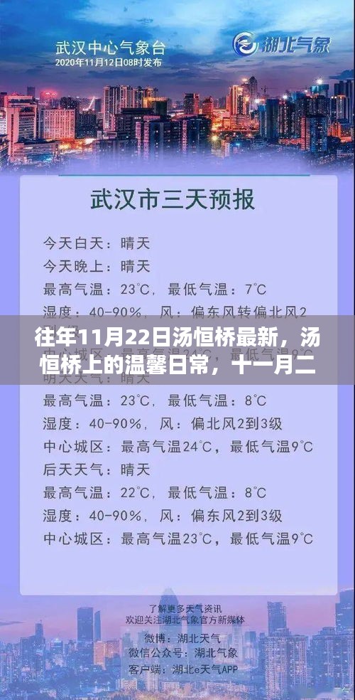 汤恒桥上的温馨日常，十一月二十二日的特别时光