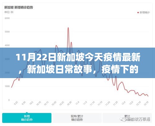 新加坡疫情最新动态，温馨时光与友情纽带下的日常故事