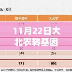 大北农转基因玉米最新消息全解析，获取与理解步骤指南（适用于初学者与进阶用户）