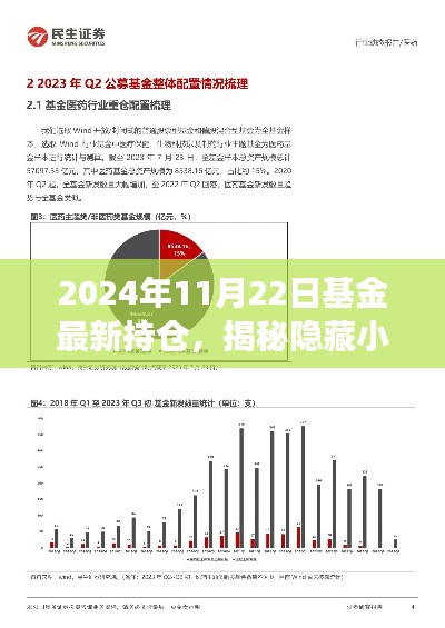 揭秘宝藏小店与基金最新持仓背后的故事，独特视角下的基金市场观察（2024年11月22日）