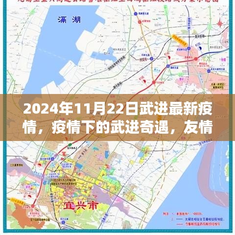 武进疫情下的奇遇，友情、温情与阳光下的日常（2024年11月22日最新消息）