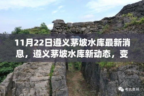 遵义茅坡水库新动态，学习力量的变化与自信成就感的源泉（最新消息）