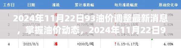 2024年11月22日油价调整最新动态，全面解读与应对策略