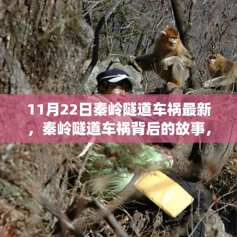 秦岭隧道车祸最新消息，事故背后的故事与自信成就的力量展现