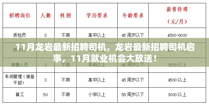 龙岩最新司机招聘启事，11月就业机会大放送