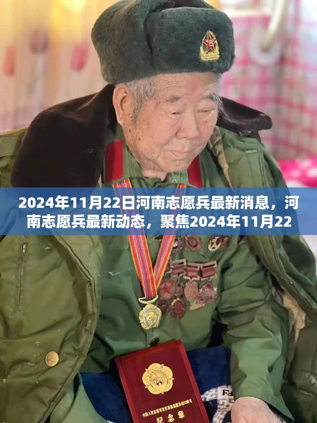 河南志愿兵最新动态及观点分析（2024年11月22日聚焦）