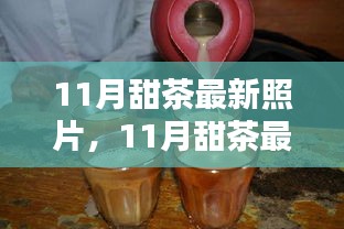 11月甜茶最新照片，清新自然，魅力四溢亮相