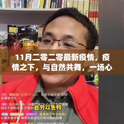 疫情之下心灵之旅，与自然共舞，探索十一月二零二零最新疫情中的生命力量