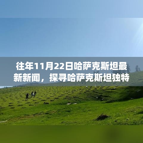 哈萨克斯坦特色小店温暖故事，探寻隐藏瑰宝的十一月小巷新闻