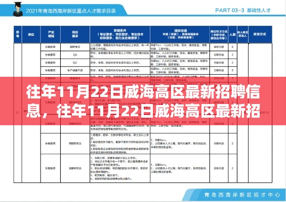 往年11月22日威海高区招聘信息深度解析，特性、体验与目标用户分析全攻略