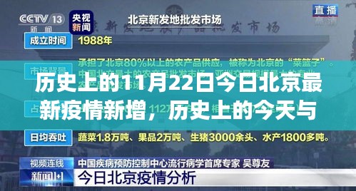 历史上的今天与北京疫情的新变化，深度分析与观点阐述